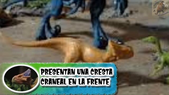 Microceratus: el dinosaurio más ignorado (Animales Prehistóricos) смотреть онлайн