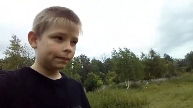 Нападение гусей смотреть онлайн