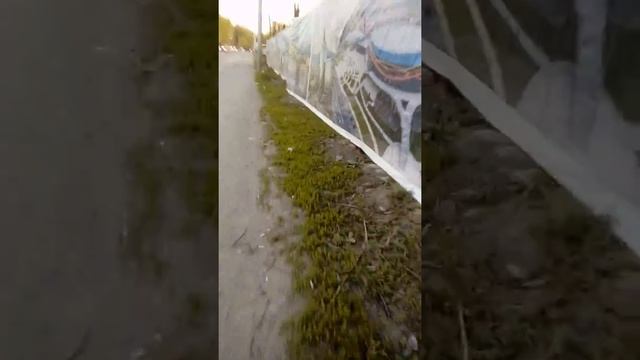 Велопрогулка 1 смотреть онлайн