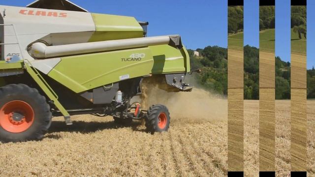 Claas TUCANO 430- Az. SGALLA STEFANO- San Severino Marche смотреть онлайн