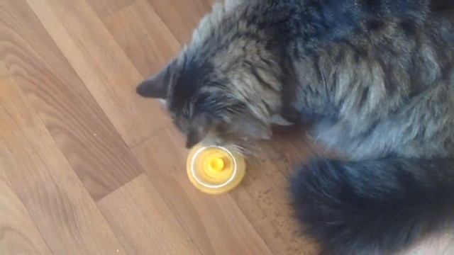 Котомир - 5 серия смотреть онлайн