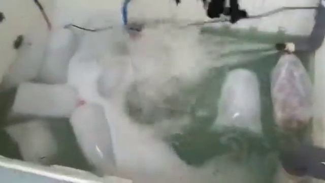 Percobaan...bikin mesin es batu,dari kulkas bekas 1 pintu,dan outdoor Ac смотреть онлайн