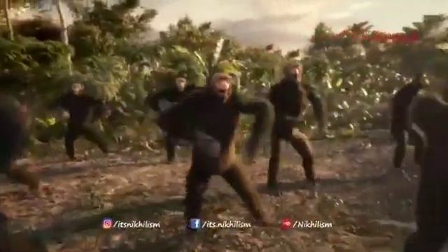 Chogada song gorilla dance 100% funny смотреть онлайн