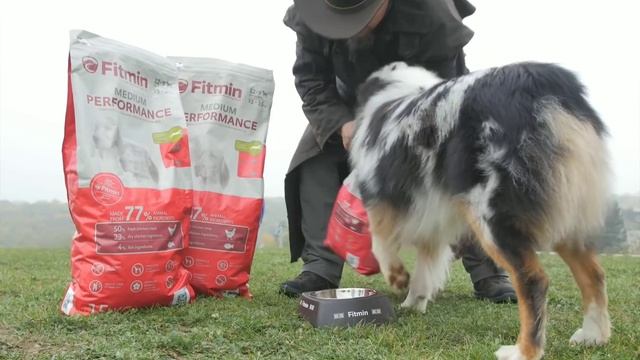 FITMIN maistas šunims ir katėms – Varle.lt смотреть онлайн