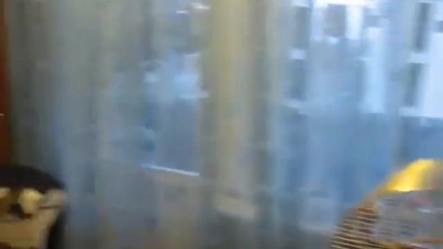 Филя летит на плечо и целуеться 0001 смотреть онлайн