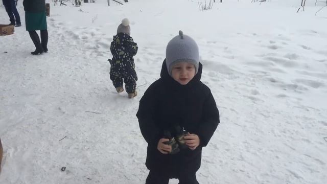 Кормим Кабанов в Левково смотреть онлайн