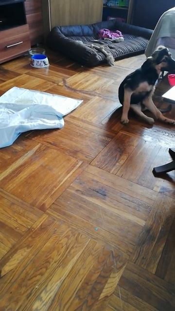 Мотя любит рвать пеленки смотреть онлайн