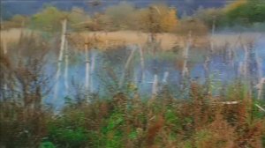 ДМБ матёрый кабан