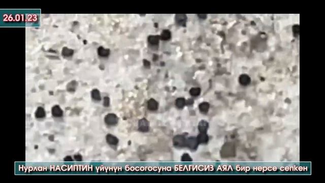 Шумдук КАБАР: Ырчы Нурлан НАСИП ага КАРА ДУБА окуп ҮЙҮНҮН босогосуна ЧАЧЫП кеткен АЯЛды ИЗДЕП -ВИДЕ смотреть онлайн