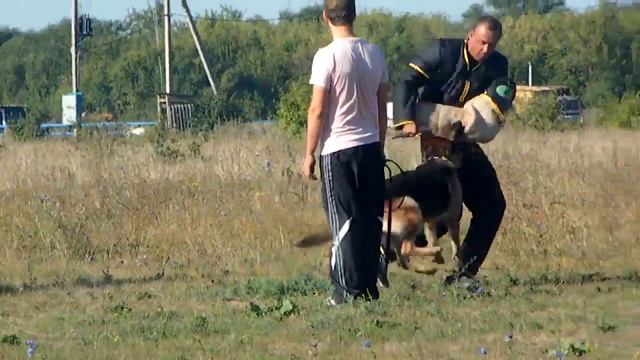 SAM 2426 смотреть онлайн