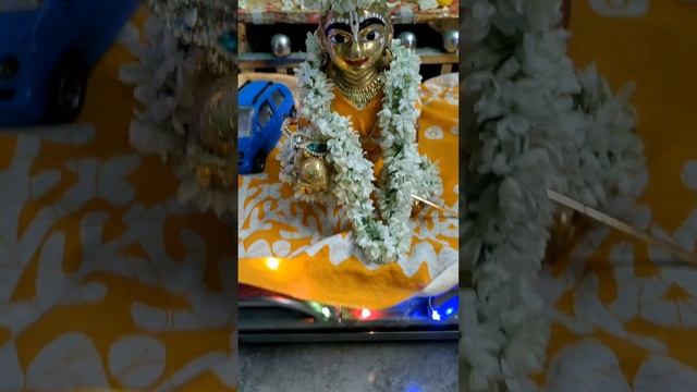 Nanda Nandan#🌹 jhula jhul rahe hain Banke Bihari 🥰🥳 смотреть онлайн