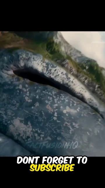 This man and his flying donkey saves Whale #movie#viral #trending #youtubeshorts смотреть онлайн