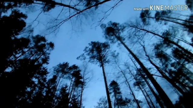 ОХОТА НА ГЛУХАРЯ НА ТОКУ. смотреть онлайн