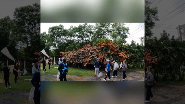 Entomology trip (academic year 2020) смотреть онлайн