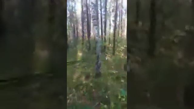 16.09.201з Павел Портян смотреть онлайн
