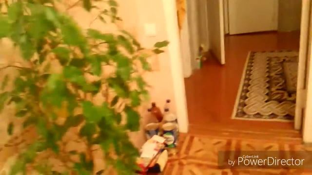 СРОЧНОЕ видео!!!!!!! Маруся потерялась!!!!!! (Смотреть ВСЕМ!). смотреть онлайн