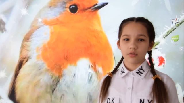 Зарянка смотреть онлайн