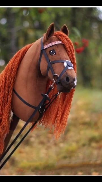 Cute hobby horse #horses #лошадь #horse #лошади #dressage #showjumping #лошадки смотреть онлайн