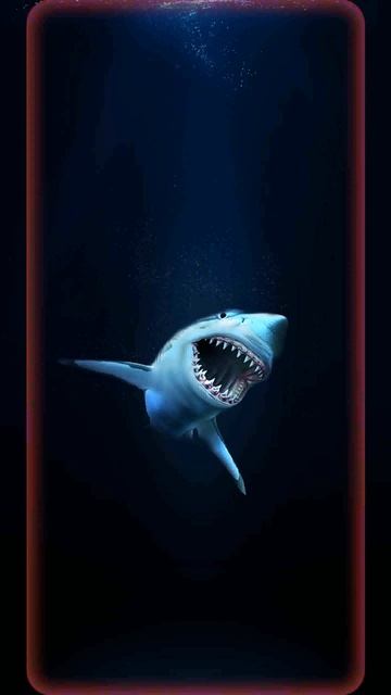 Deep sea sharks Animated смотреть онлайн