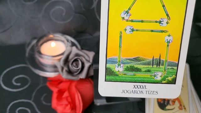 [Ibis Tarot] Teljes Pakli Bemutató |Full Deck Showcase| смотреть онлайн