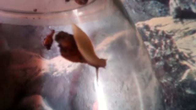 VID 20140713 174709 смотреть онлайн