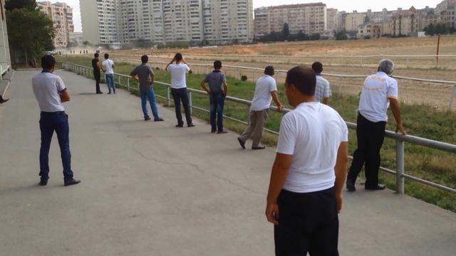 Шимшек Арабский жеребчик 3 х лет смотреть онлайн