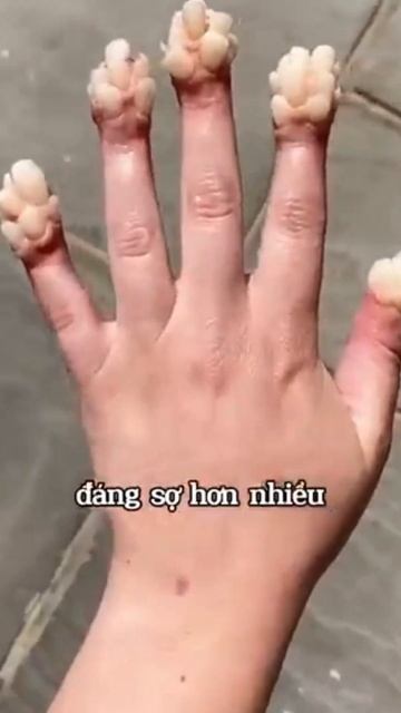 Hãy Vớt Nó Ra #dongvat смотреть онлайн