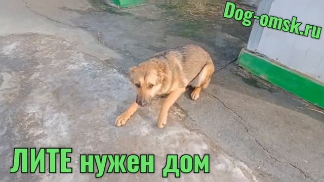 Подросток ЛИТА - знакомтесь. смотреть онлайн