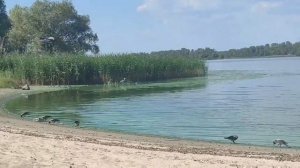 Закон тайги 31 серия "Таежный ретрит" | Премьера 2024