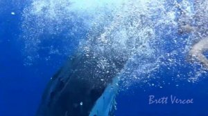 Dj Romeo - VIP Mix 2 (2005) - Track 07 Patrick Alavi - Power // Whales Jumping