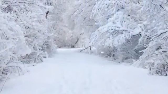 Песня о мамантах смотреть онлайн