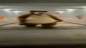 медведь бежит но под тему погони из смешариков