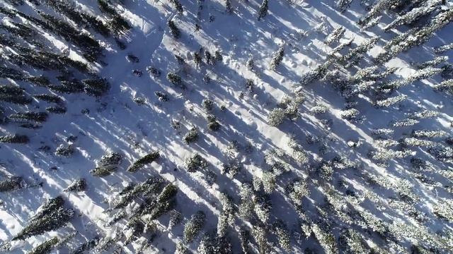 Сказочный лес смотреть онлайн