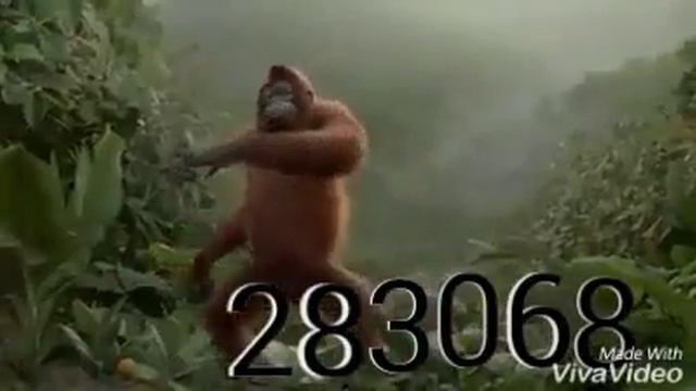 Abengi king nakombo naye смотреть онлайн