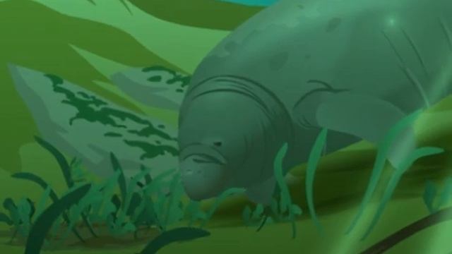 Manatee Lamantin flash animation смотреть онлайн