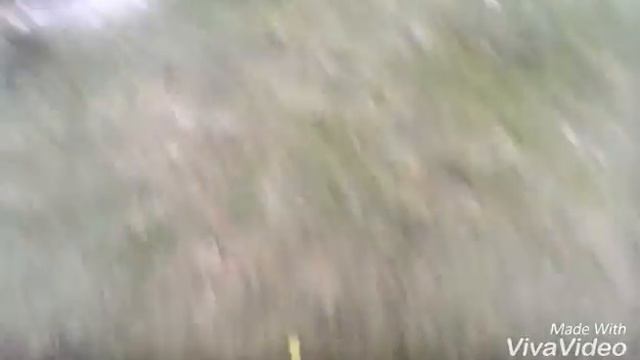 Потерял собаку #2 смотреть онлайн