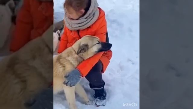 Щенки Провалились в БИТУМ / Чудесное СПАСЕНИЕ / Приют КОВЧЕГ ищет хозяев для собак 🐶 смотреть онлайн