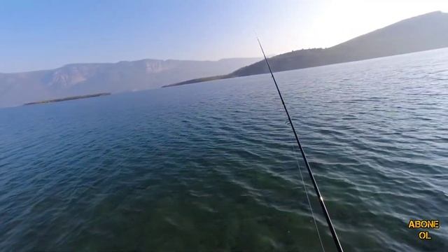 Ağır jighead ve Pandora silikon karides #lrf #ağırjigheadsilikonkarides #lrfavı #yakalabırak смотреть онлайн