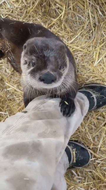 January 11, 2023 смотреть онлайн