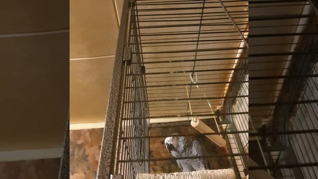 Жако Глаша смотреть онлайн
