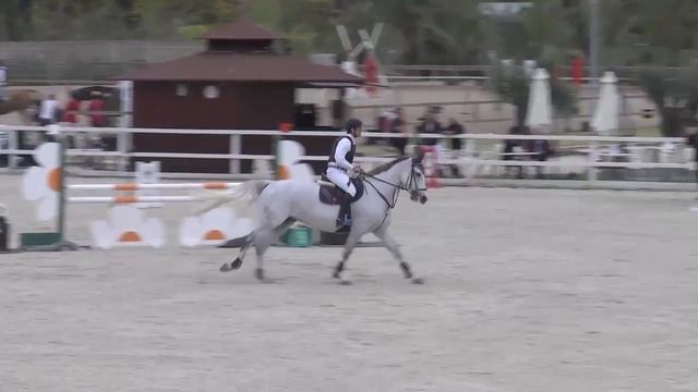 SUNCARRIER QUIJOLIE - Cedric Trutschler - Bronze.1.1.15m - Valencia (8.11.2014) смотреть онлайн