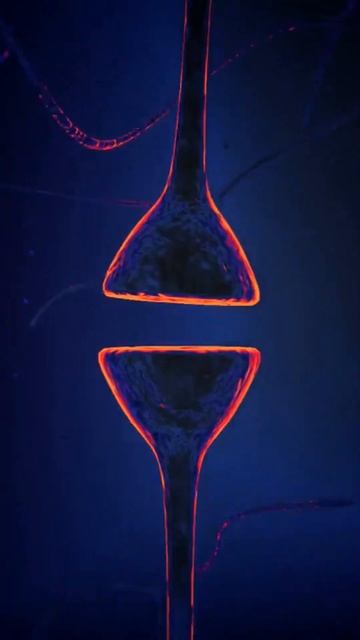 Feet First: The Taste Buds of Butterflies Will Blow Your Mind! #shorts #short смотреть онлайн