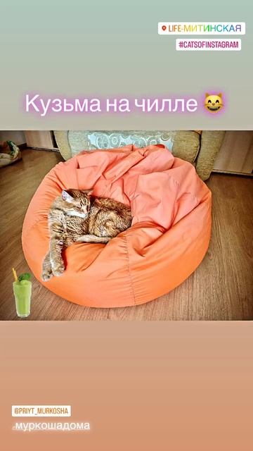 Кузьмин дома смотреть онлайн