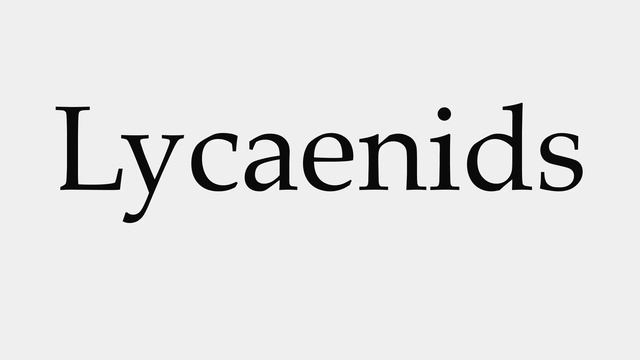 How to Pronounce Lycaenids смотреть онлайн