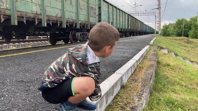 Муравьиная ферма, строят дом смотреть онлайн