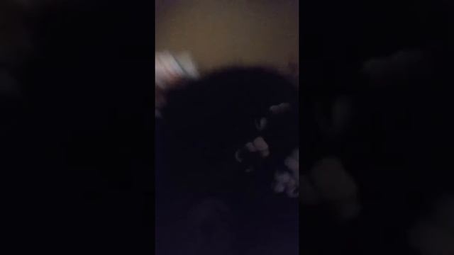 Dai'Lani. Love смотреть онлайн