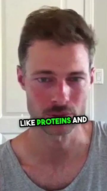 Which diet is best for a T1D athlete? смотреть онлайн