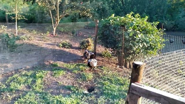 Уголок зелени в пустыне смотреть онлайн
