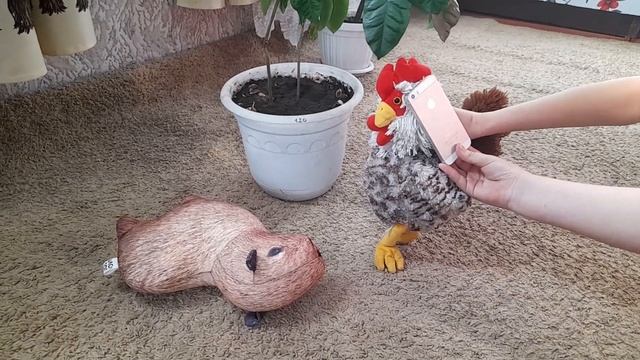 1 часть. фильма про капибару смотреть онлайн