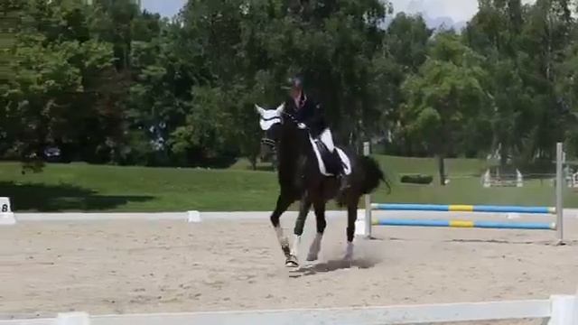 Caprilli 2b Dany 05.07.2014 смотреть онлайн